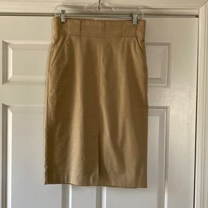 Ann Taylor skirt
